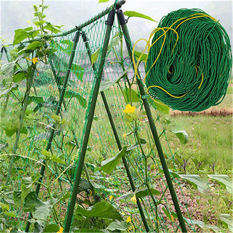 

1pc 90cm*180cm/35.4in*70.8inplant Climbing Vine Net, Green Horticultural Grid Net, Cucumber Hanging Gourd Climbing Net, Bracket Net, Chrysanthemum Wind Resistant Net
