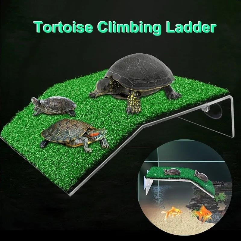 Plataforma de tortuga con ventosas, resina de reptil escalando paso acuario  Dcor, decoración de peceras rocas decorativas con planta de plástico