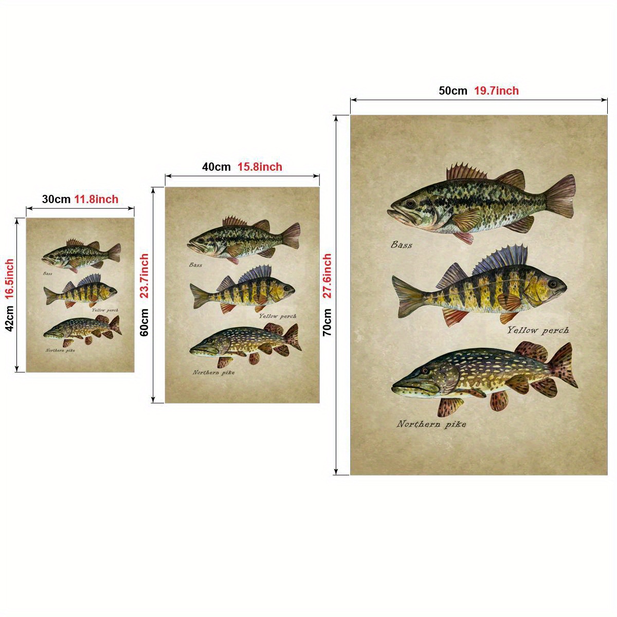 Unframed Canvas Poster Fish Art Print Bass Perch Pike - Temu