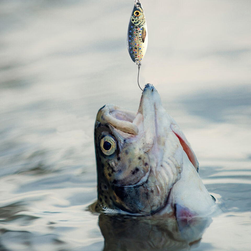 Metal Fishing Lure Spinner Lure Casting Spoon Freshwater - Temu United  Kingdom