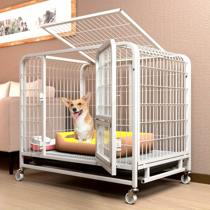 Large dog hotsell kennel kmart