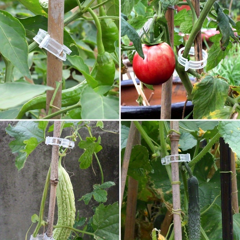 

100pcs Plant Support Clips, Garden Support Clips, Garden Clips, Grape Vine, Tomato Vine Vegetables Plants Trellis Clips To Grow Upright Makes Plants Health