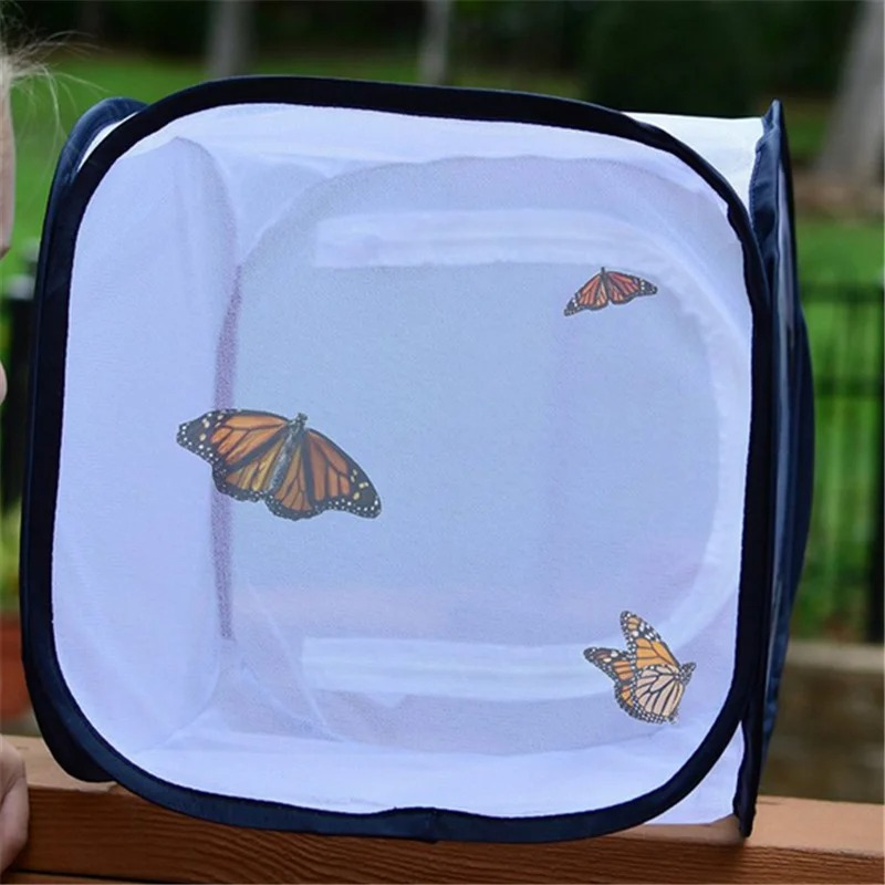 Foldable Insect Cage Pet Cage Insect Net Seedling - Temu