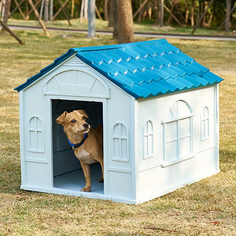 Outdoor dog store house for summer