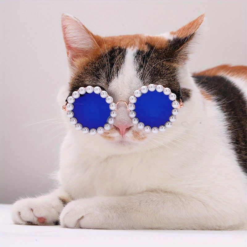 1pc ウェア、ペット用サングラス、写真撮影用小道具、猫用サングラス | 今日の最高のデイリーディール | Temu Japan