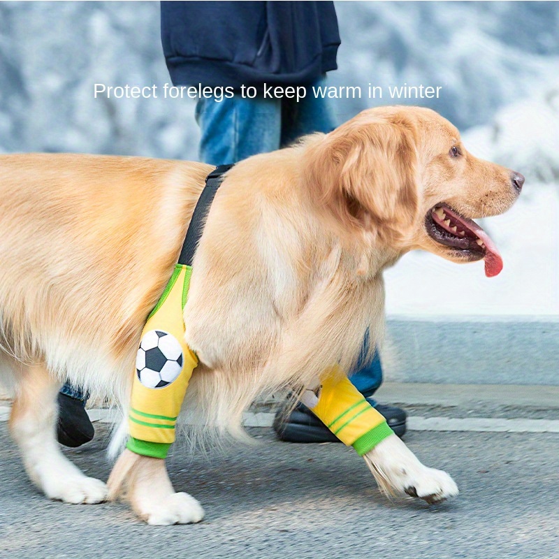 Coussinets De Protection Pour Coudière À LED Pour Chien - Temu Belgium