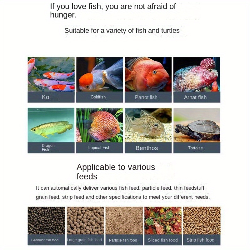 Feeder fish 2024 for turtles