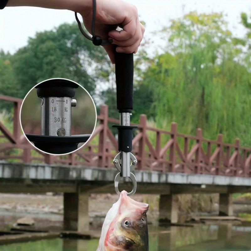 Stainless Steel Fish Lip Gripper Catch Fish Scale! - Temu