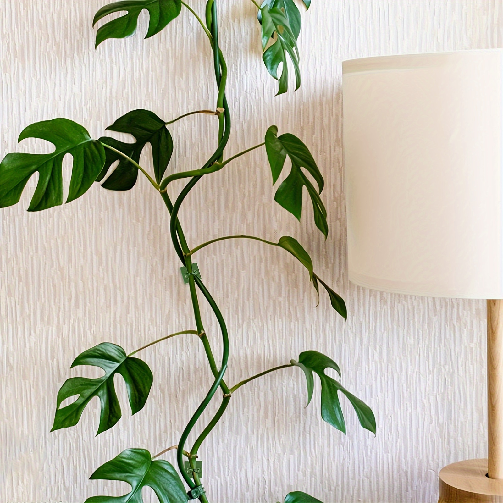 10/20/30pcs Plant Climbing Wall Fixture Clips, Self-Adhesive Hook Vines Traction Invisible Holder Supporting Wire Fixing, For Garden Wall Clip, Vines Fixing Clips Self-Adhesive Hook Plant Vine Traction For Indoor Outdoor Decoration