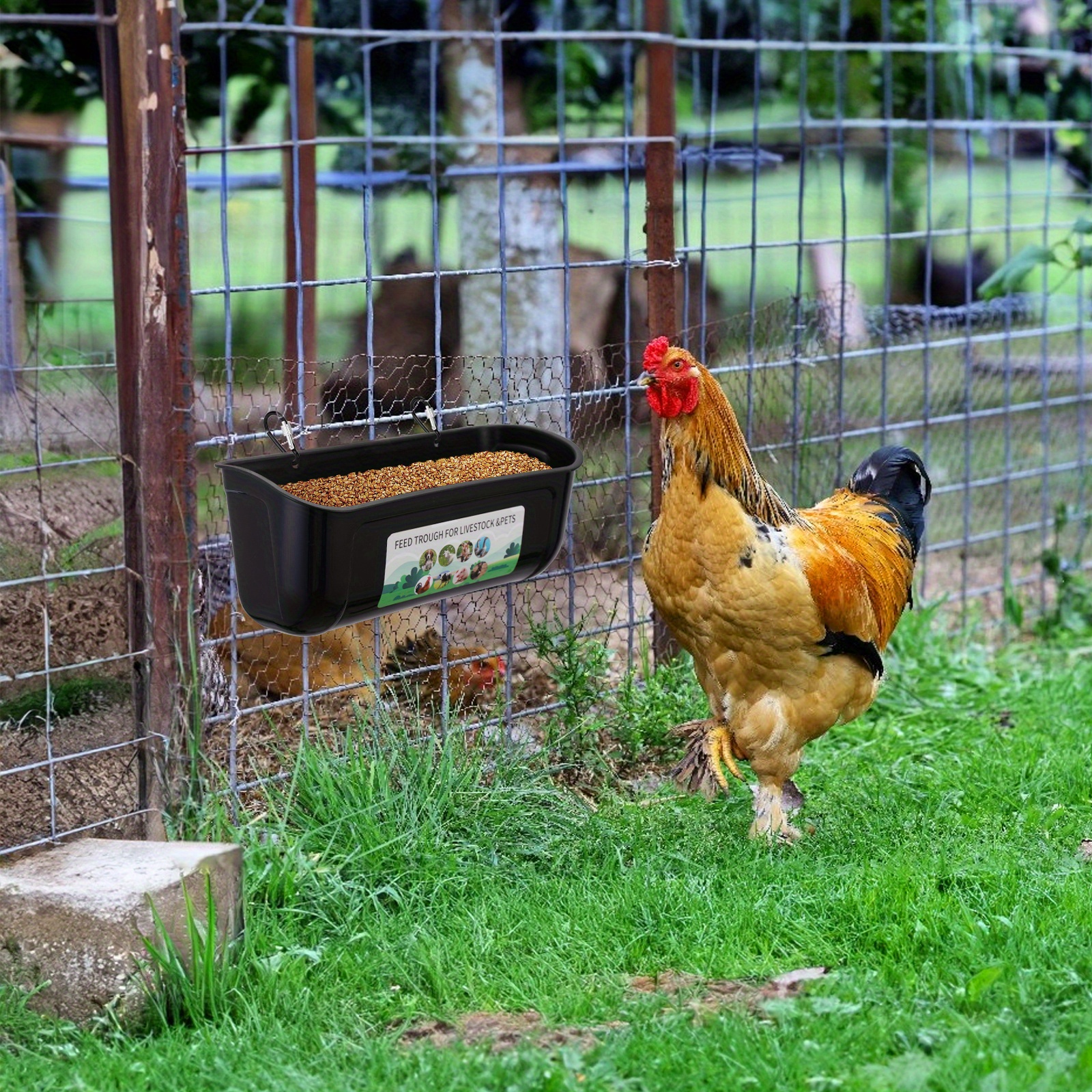 Chicken Feeder Chicken Feed Trough Chicken Feeder and Waterer Poultry Feeder  and Waterer with Hook Chick Feeder for Sheep Deer - AliExpress