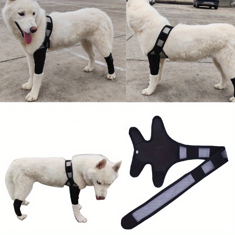 Dog Back Brace for IVDD, Back Brace Comfortable Full Body Harness