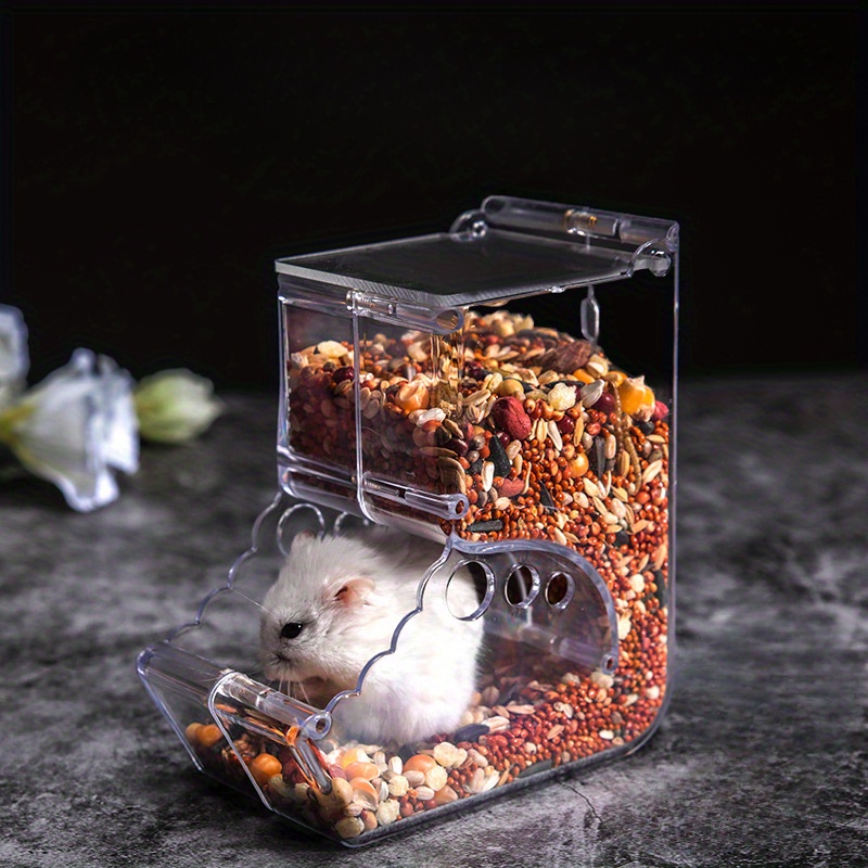 Automatic hamster 2024 feeder with timer