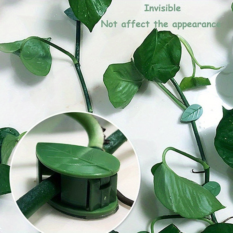 Clip De Fixation Végétale,Clips végétaux pour Plantes d'escalade, Plante  Invisible Plante Murale Clips (10