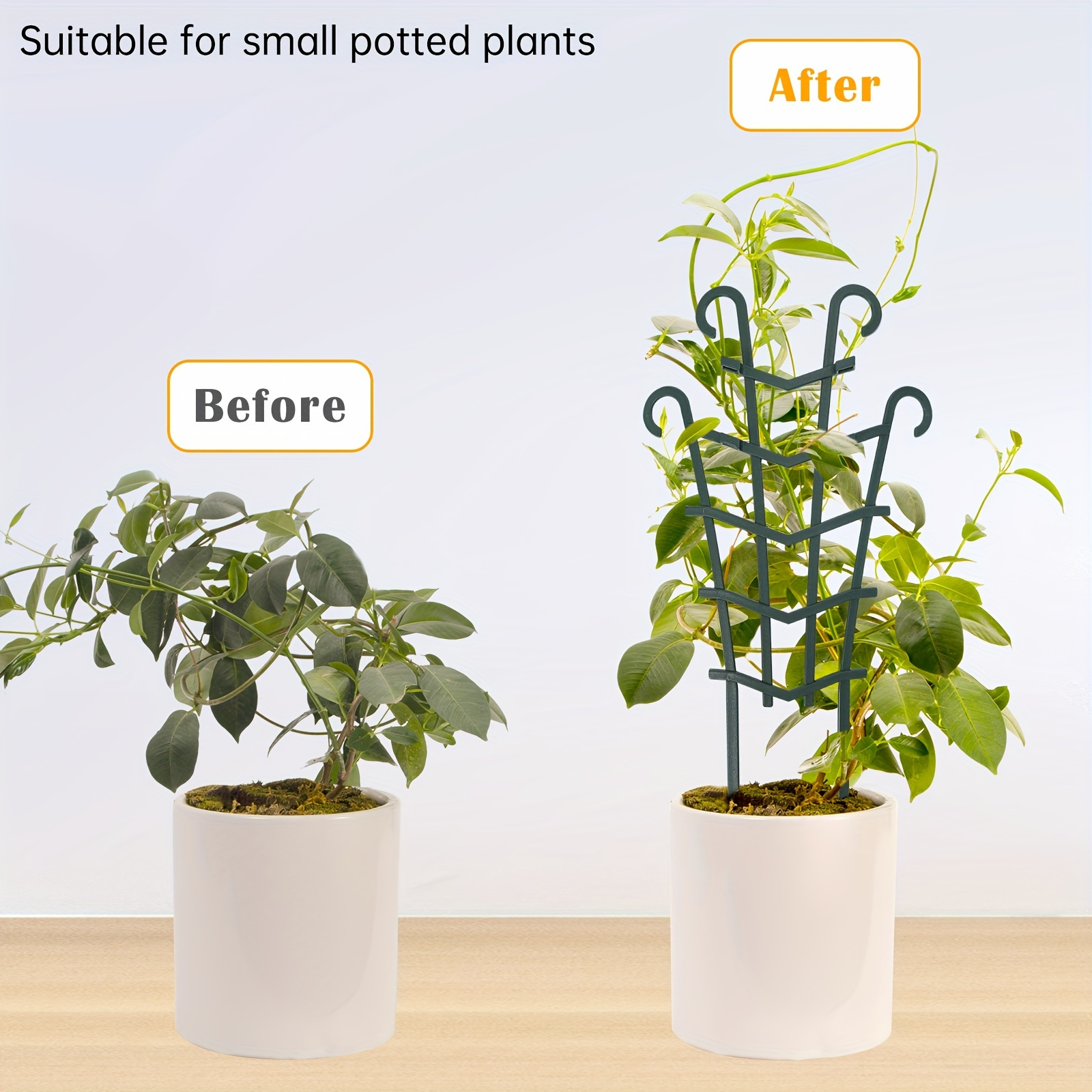 Acryl Rankgitter 40x10cm - Klares Pflanzengitter Für Topfpflanzen