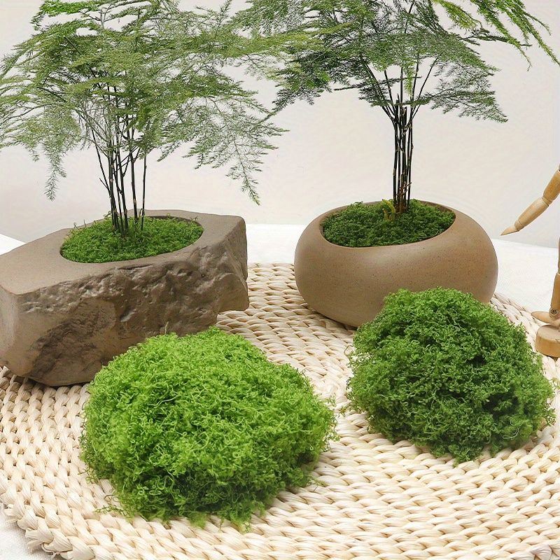 Plantas artificiales de simulación de musgo preservado, decoración