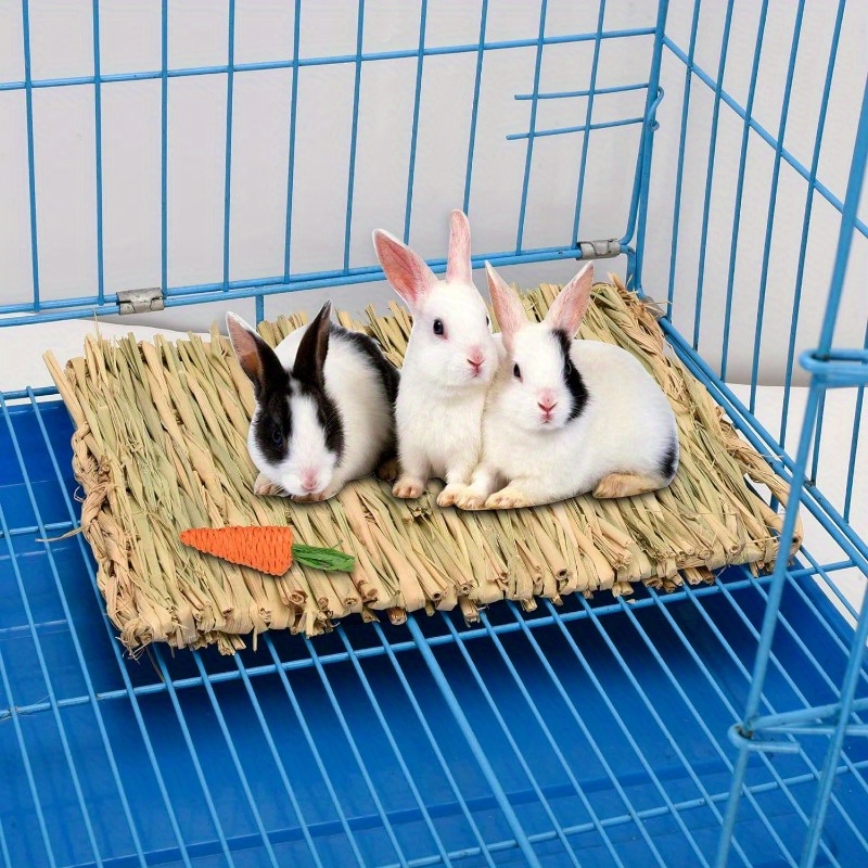 Set of 3/6 Grass Mats for Rabbits and Small Animals