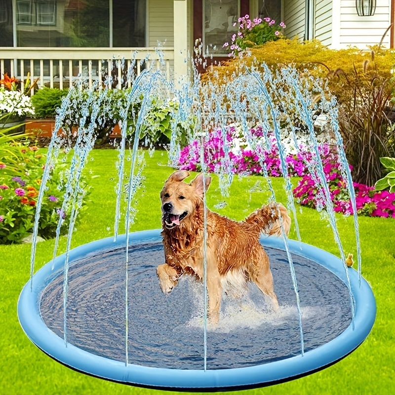 Faltbare Hundebadewanne Erhöhte Hundewaschstation Für Heimbaden, Dusche Und  Pflege - Tragbare Haustierbadewanne Für Kleine Bis Mittelgroße Hunde Und  Katzen Sowie Andere Haustiere Drinnen Und Draußen, Kaufen Sie Die Neuesten  Trends