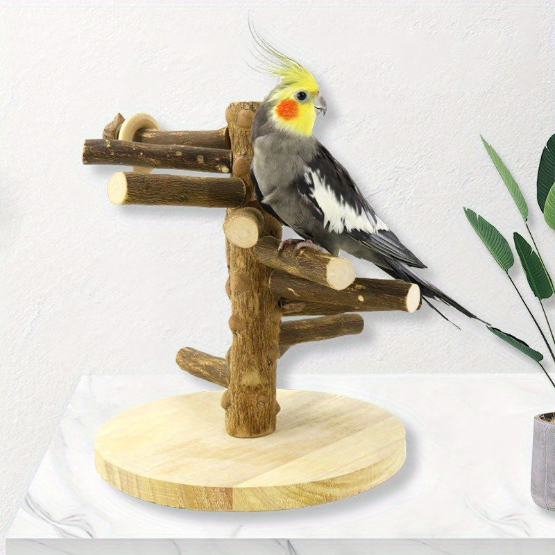 Bird Training Stand, Portable Tabletop Bird Perch Spin Training Perch for  Parakeets Conures Lovebirds or Cockatiels