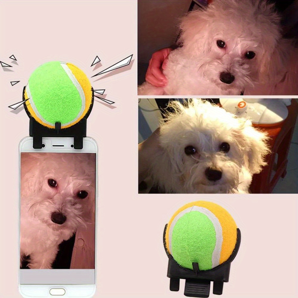 Fur ball sale dog camera