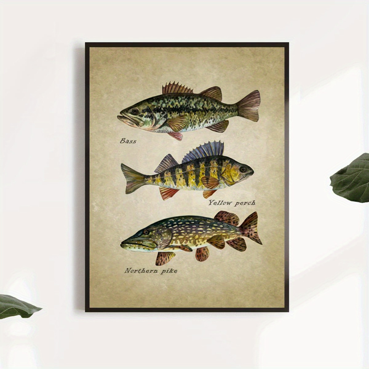 Explore Minnesota, Vintage Fishing Poster by Rich Sladek (frame not  included)