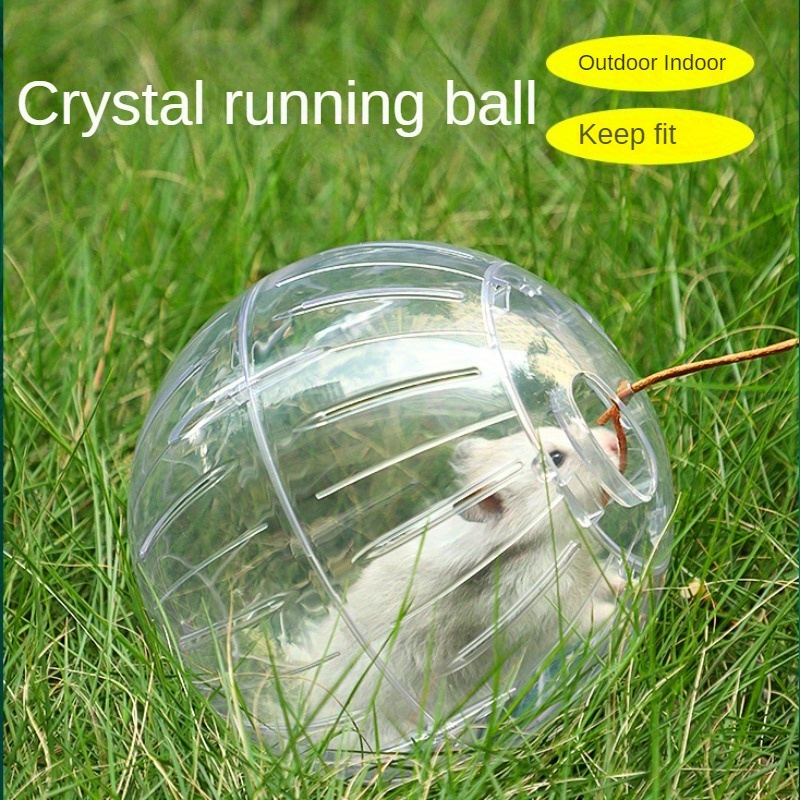 

1pc Transparent Exercise Ball For Hamsters – The Perfect Walking Tool For Your Cute Pets