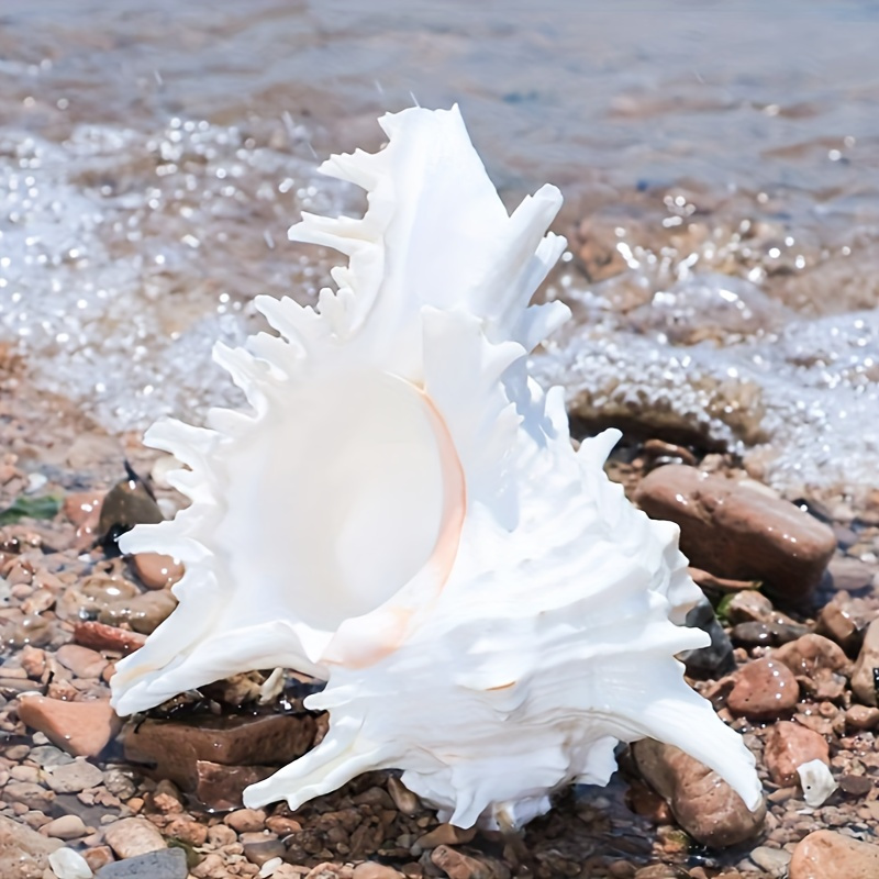 Ocean Inspired Aquarium Decorations Natural Sea Shells Conch Shells White  Coral And Starfish Ornaments - Pet Supplies - Temu Canada