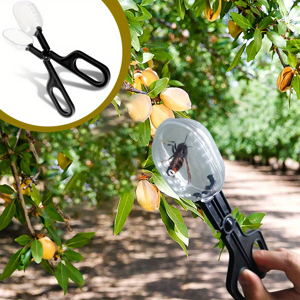 

3pcs Portable Transparent Insect Catcher Scissors, 7.28 Inches, Indoor & Outdoor Bug Scooper Clamp, Tong Tweezer For Kids, Fish Tank, Biology Study Supplies With 2.16-inch Viewing Sphere