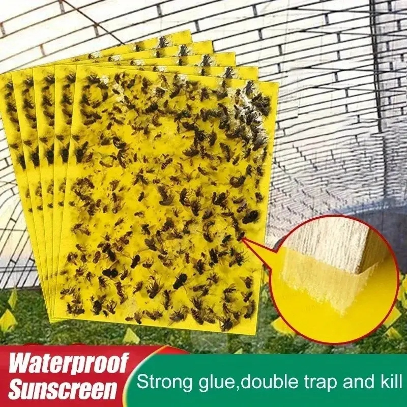 Strong Sticky Fly Pest Traps Bugs Outdoor Plant Insect Catcher