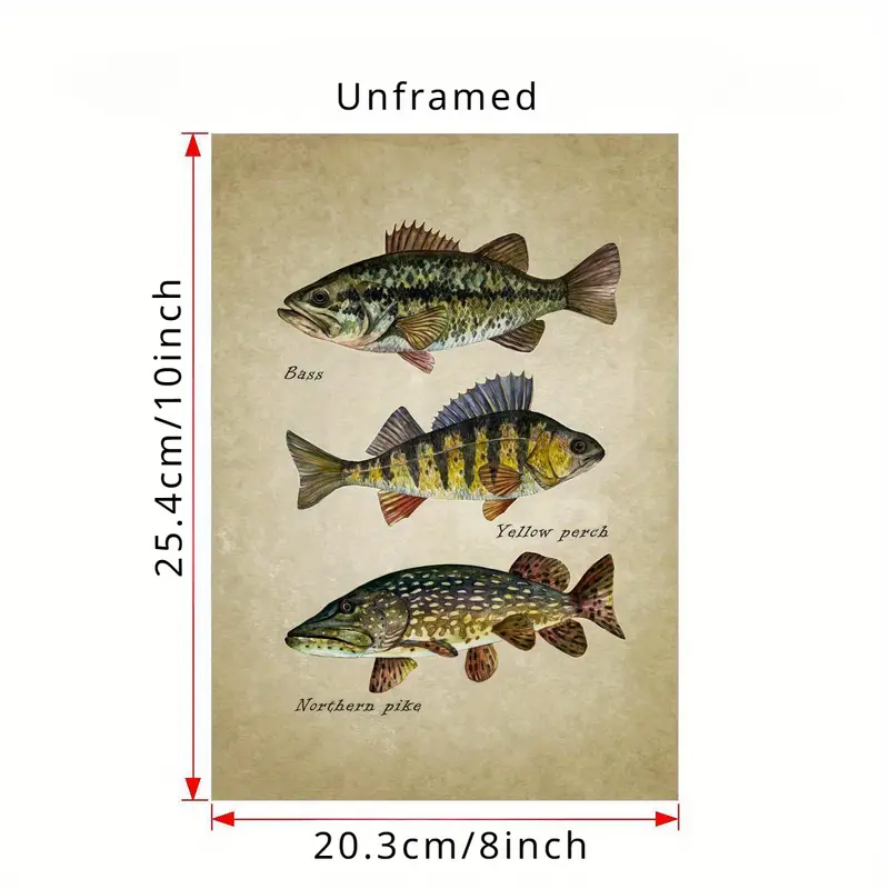 Unframed Poster Fish Art Print Bass Perch Pike Painting - Temu