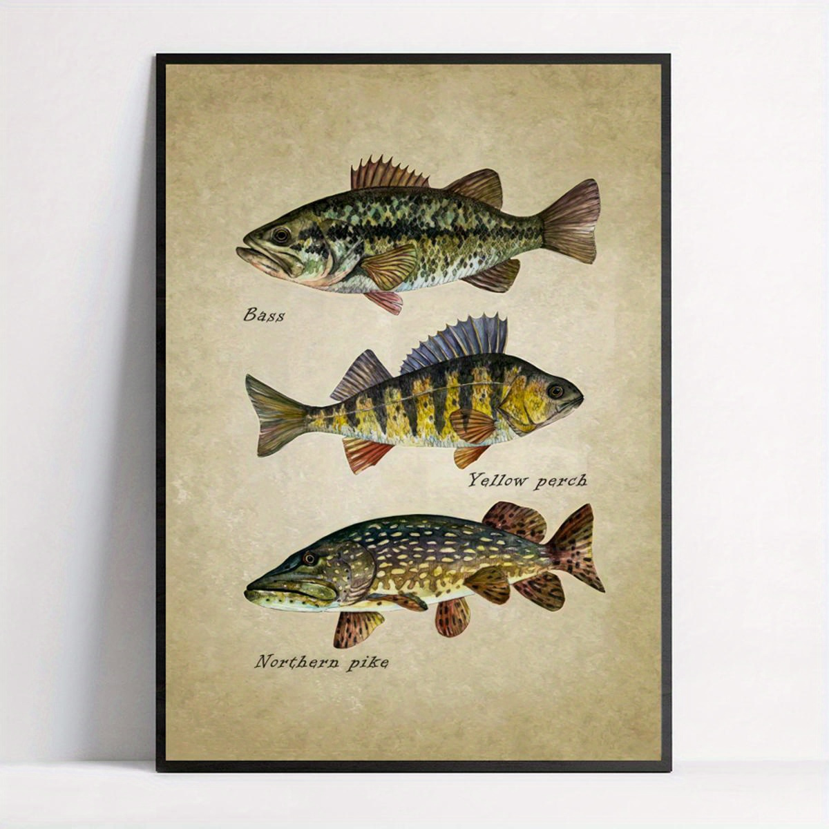 Largemouth Bass Fishing Poster Art Print Vintage Fishing Lures Wall Decor  Gift 