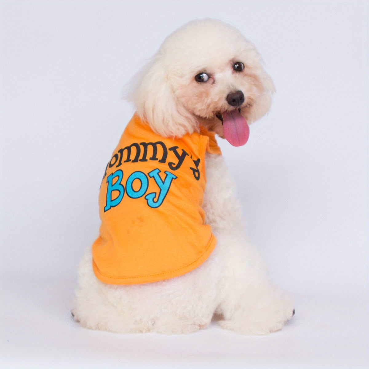 Boy shop puppy outfits