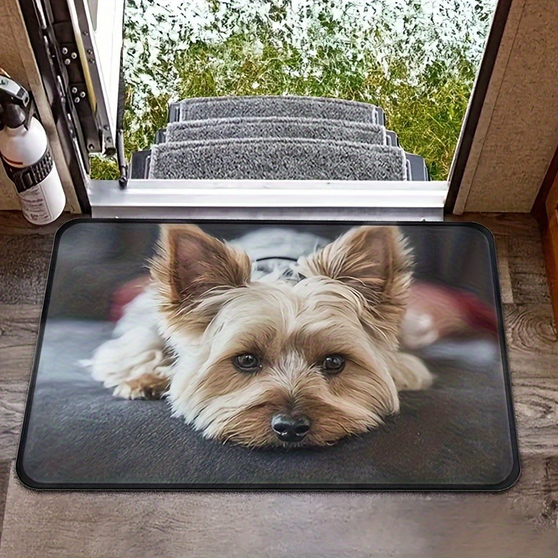 

Non-slip Doormat - Rv, Living Room, Bedroom & Outdoor Use