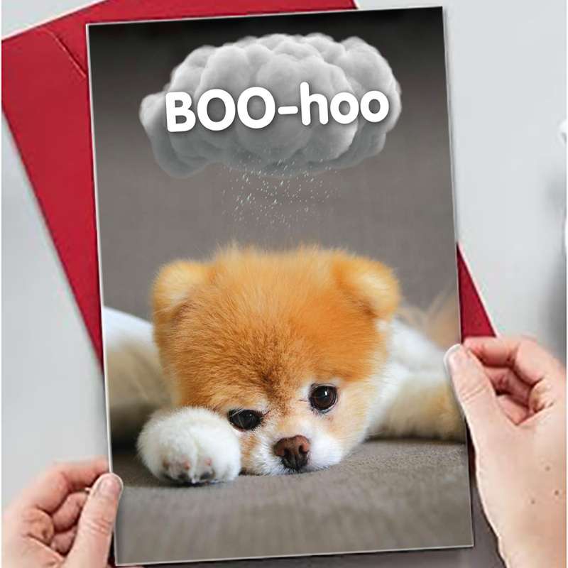 Boo toy pomeranian hotsell