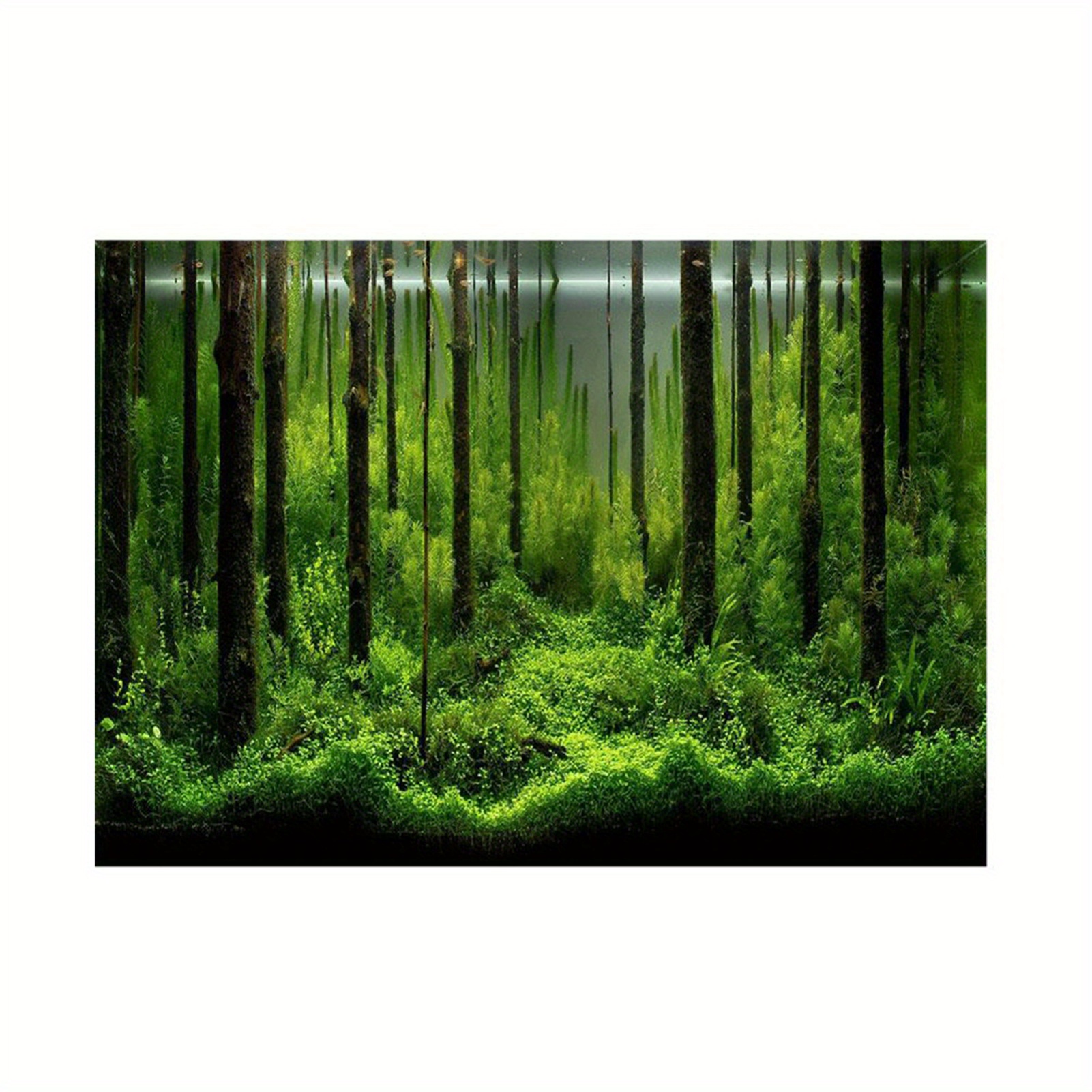 Aquarium Plant Background Poster For Fish Tank Underwater Background  Decoration Paper Aquarium Accessories - Pet Supplies - Temu