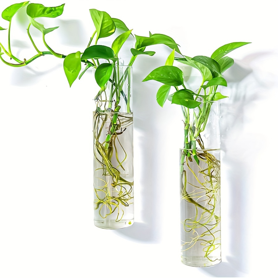 

2pcs, Wall Hanging Glass Plant Terrarium Container Cylinder Shape Perfect For Propagating Hydroponic Plants Home Office Garden Decor Wedding
