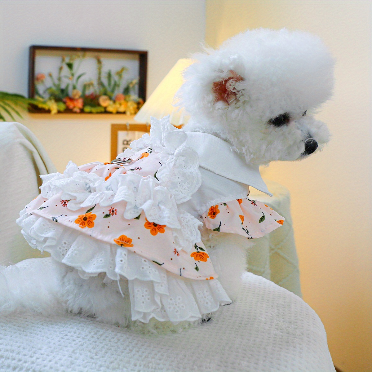 open lace back dress Pink-Green Rose Garden Dog Party Dress | Poshdoglife.com