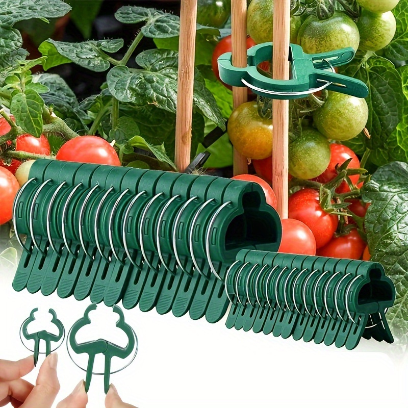 

Value Pack 50pcs Grafting Clips, Greenhouse Clamp, Stand Plastic Plant Clip, Fastener Bracket, Plant Grafting, Plant Support Structures