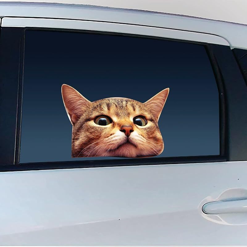 Qf132-cat Car Window Decals Funny 3d Weatherproof Decals ( Cat)
