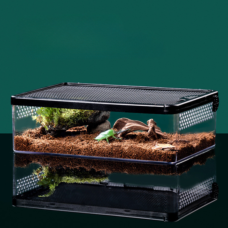 Climbing Pet Box Reptile Mantis Toy Snake Lizard - Temu Austria