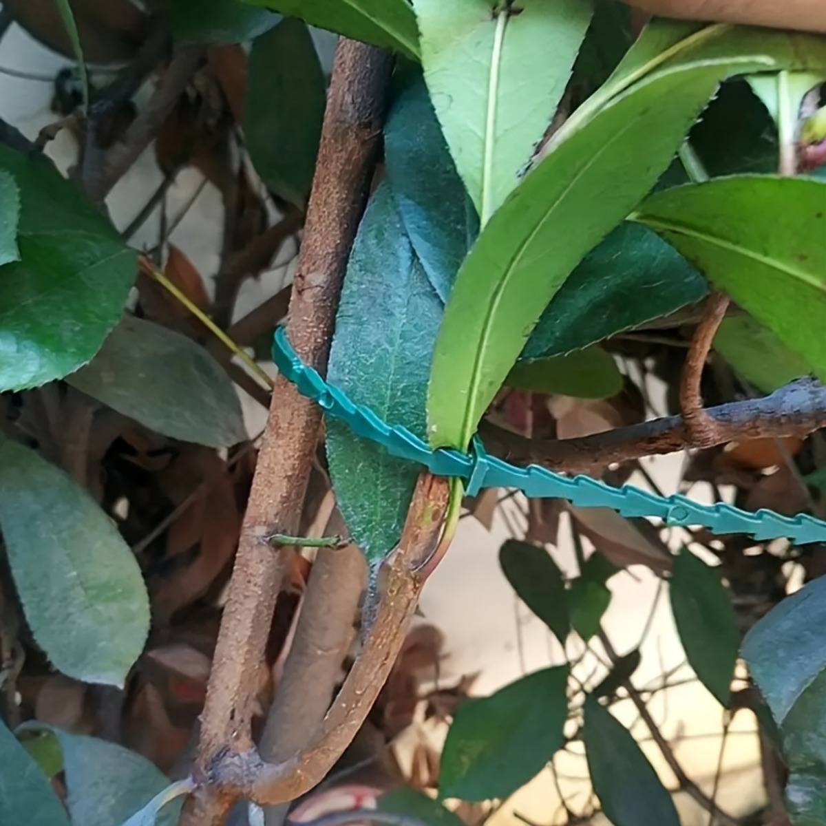 

80pcs, Adjustable Garden Plant Twist Ties, Flexible Plastic Twist Ties Reusable Multi-use For Indoor Outdoor Secure Vine, Green