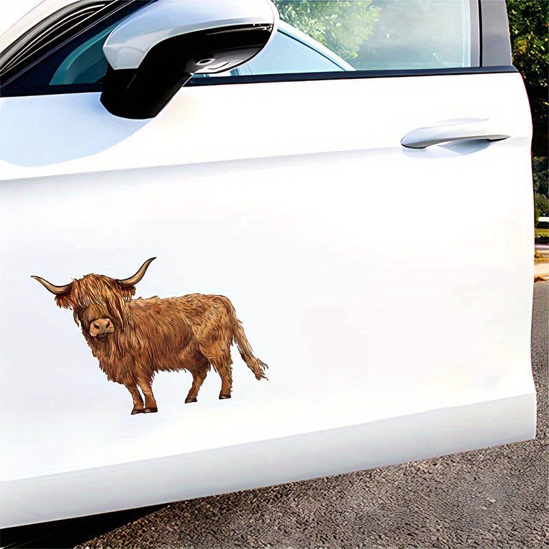 

Scottish Cow Vinyl Decal - Western Bumper Sticker - For Laptops Tumblers Windows Cars Trucks Wall