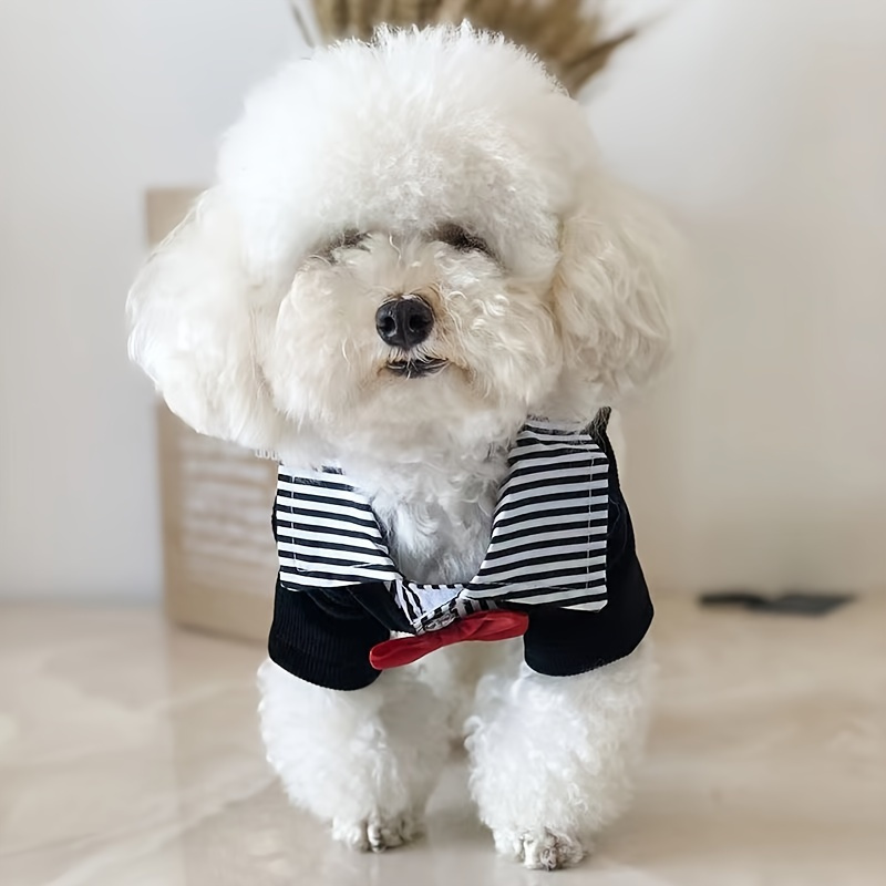 Vestido de noiva cachorro cheap