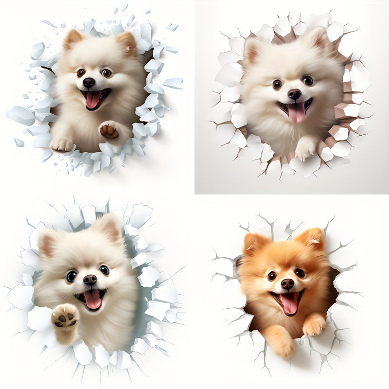 Pomeranian accessories store