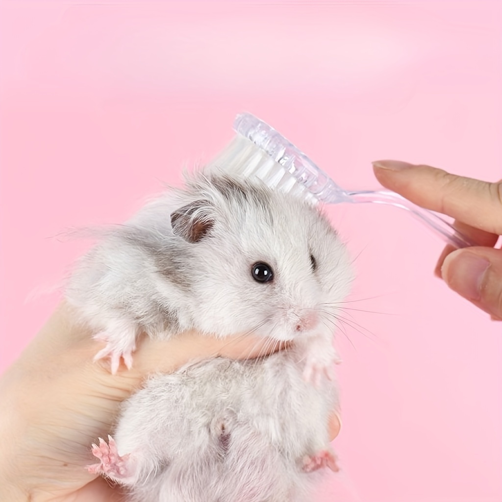 2pcs Small Brush Hamster Brush Massage Brush for Curly-Haired Pets