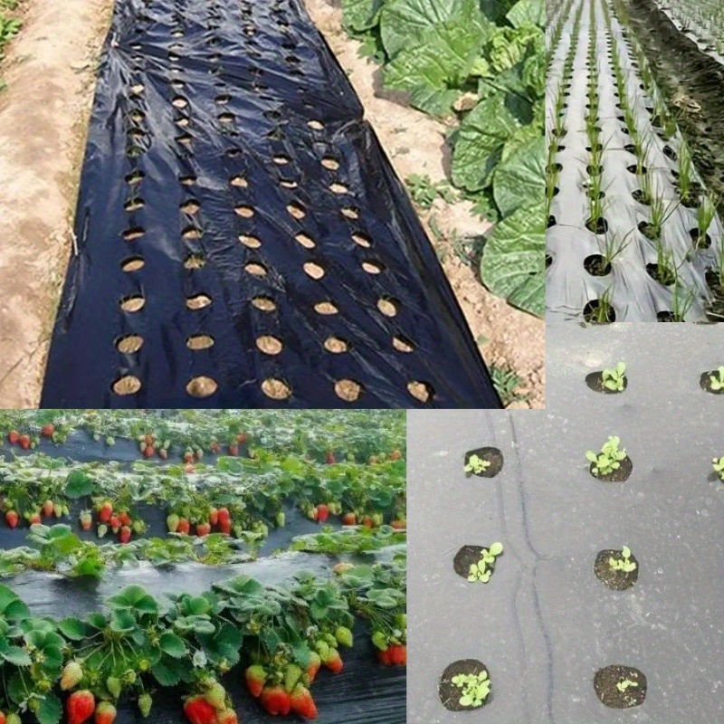 

1pc Pe Black Plastic Mulch Film For Vegetable Gardening - Ideal For Greenhouse And , Red