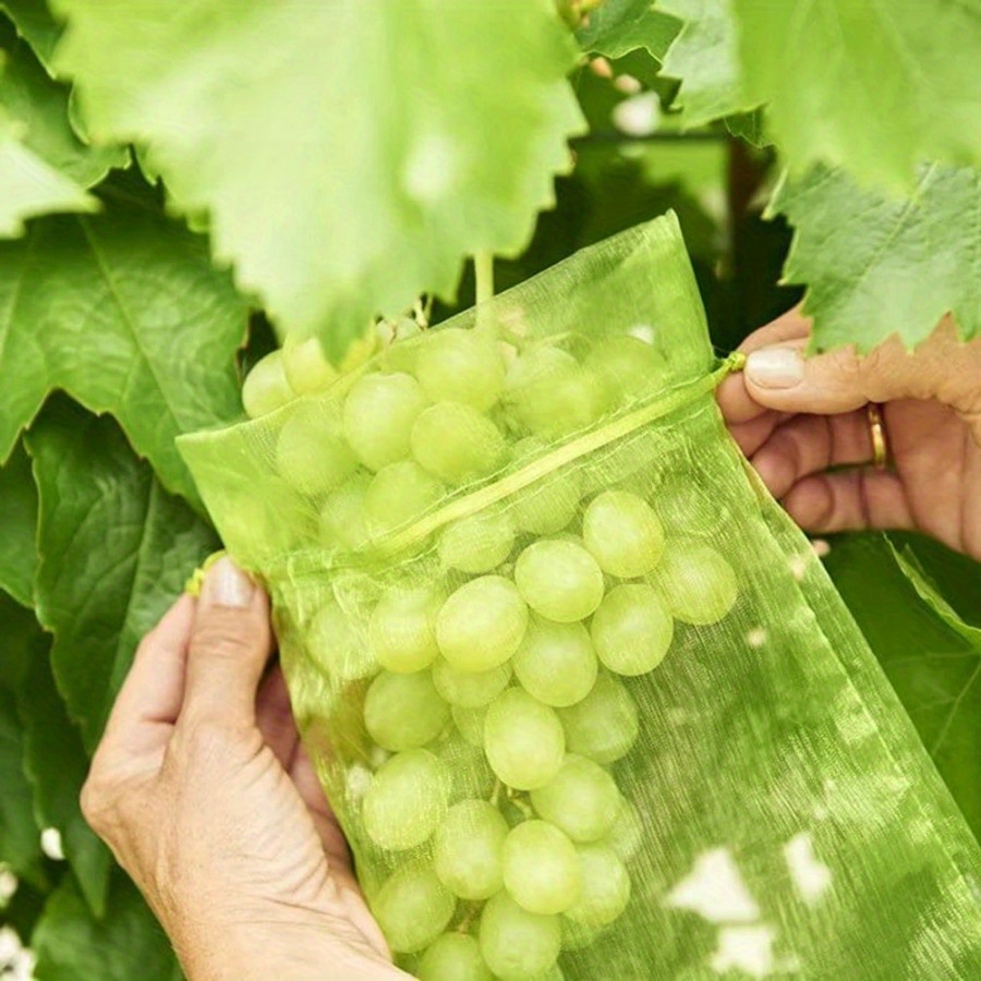 Amazon.co.jp: 100 個フルーツ保護袋イチゴブルーベリー花野菜