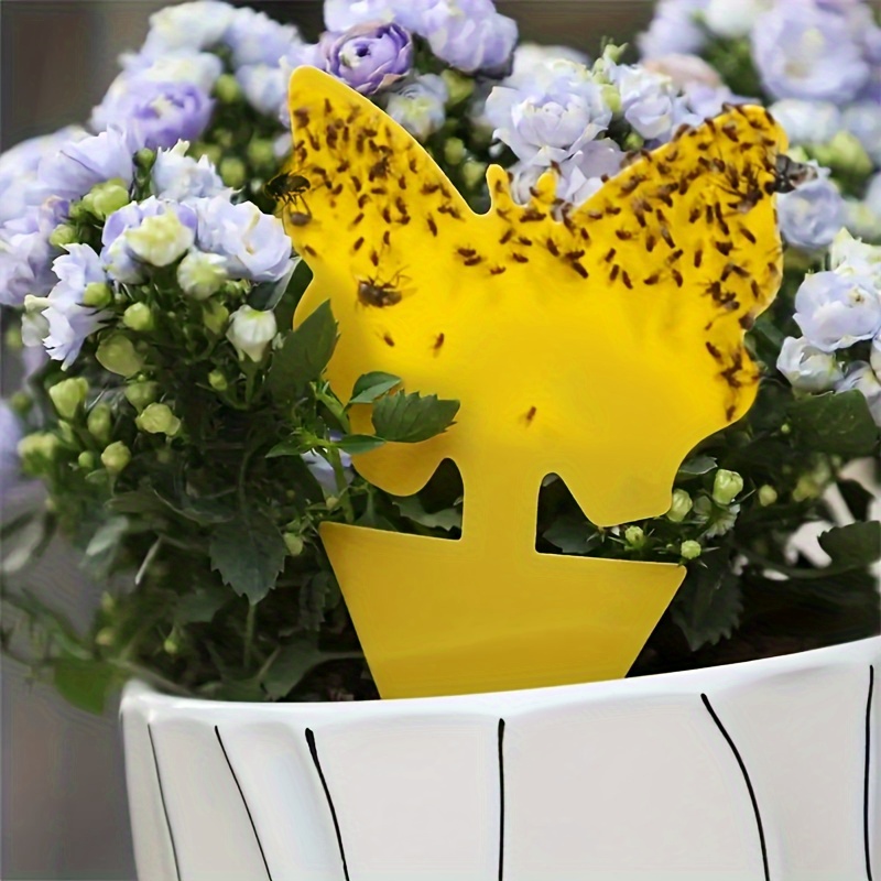 insect sticky double sided yellow flower shaped traps for butterflies a set of 5 fungus   sticky traps for plants featuring ties designed for catching  s bugs and flying insects suitable for outdoor use as a   killer for homes