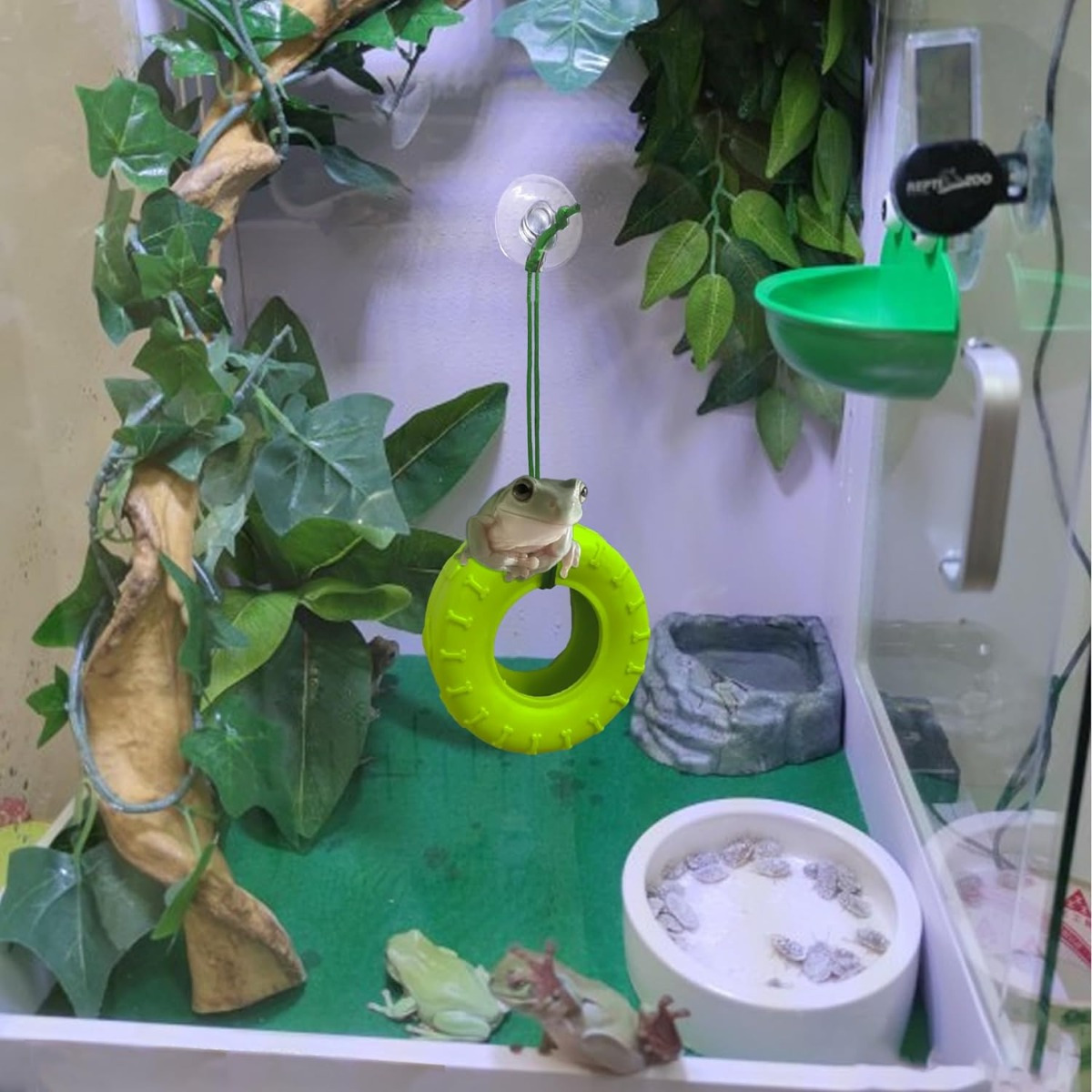 Tree Frog Habitat Frog Tank Accessories Frog Climbing Swing - Temu