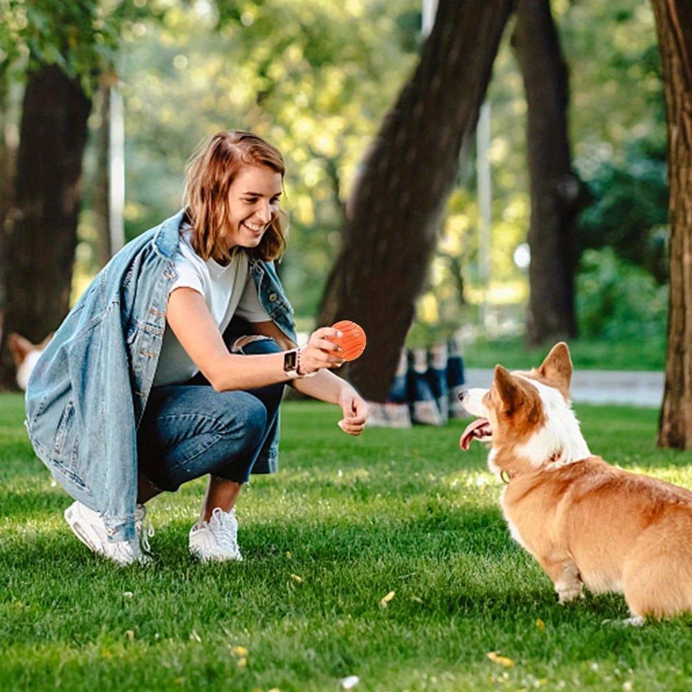 

bouncy Joy" Heavy-duty Rubber Dog Ball - Ideal For Chewing, Fetch & Training - Suitable For All Breeds