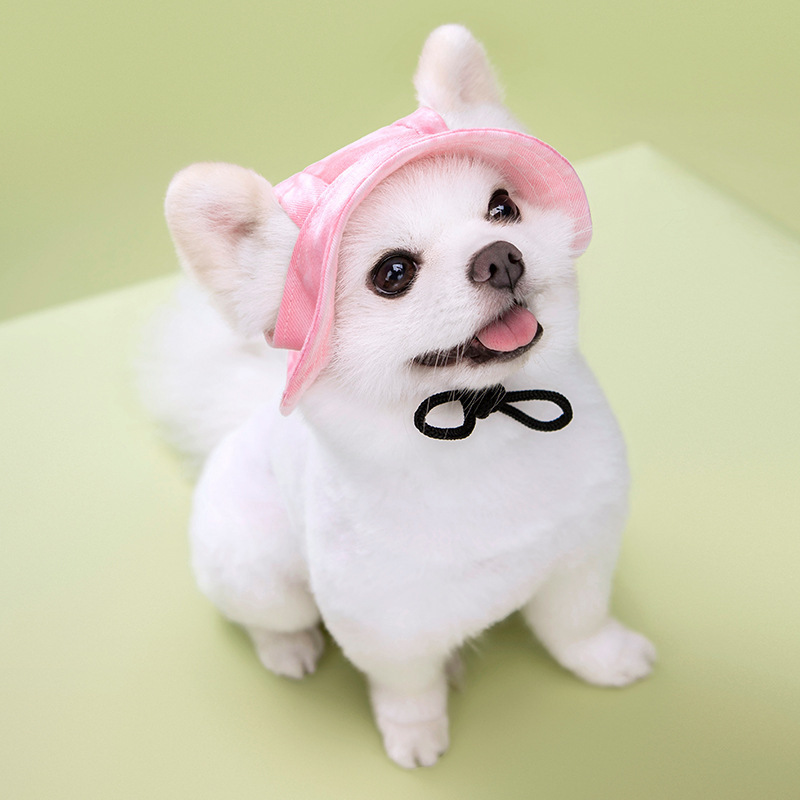 Colorful Pet Propeller Hat - Adorable Sunproof - Breathable Dog